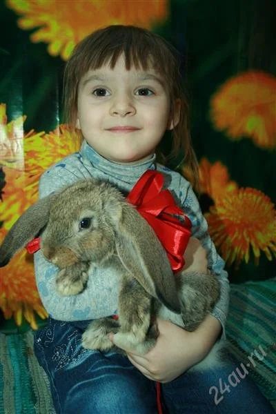 Лот: 2853718. Фото: 1. абсолютно ручной кролЯн!. Остальные животные