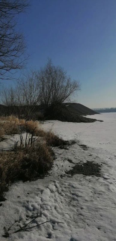 Лот: 20127123. Фото: 1. Требуется помощь в перевозке и... Другое (инструмент и расходные)