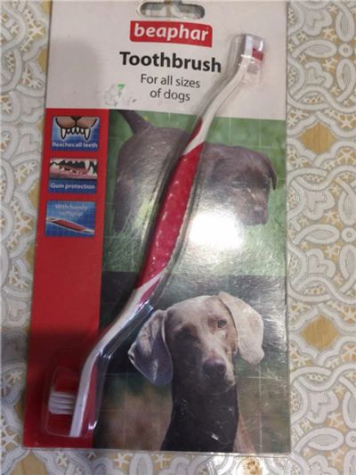 Лот: 10653987. Фото: 1. Зубная щетка для собак. Игрушки для животных