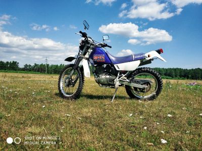 Лот: 17438761. Фото: 1. Suzuki Djebel 125. Мотоциклы