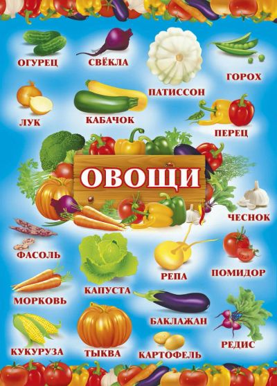 Лот: 7509307. Фото: 1. Новый Плакат Овощи, размер 210х295... Развивающие