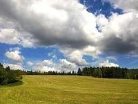 Лот: 6348596. Фото: 1. участок 26 га.сельхозназначения. Сельскохозяйственные машины