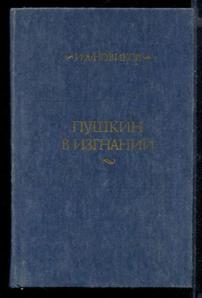Лот: 23430604. Фото: 1. Пушкин в изгнании | Роман. Художественная