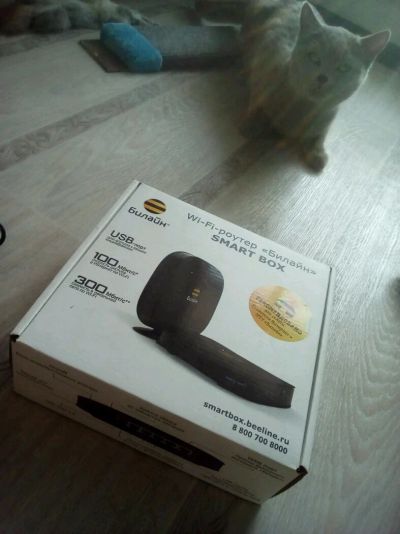 Лот: 9204496. Фото: 1. Wi-Fi роутер SmartBox. Маршрутизаторы (роутеры)