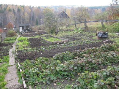 Лот: 4612226. Фото: 1. Продам дачу на Колягино. Дачи