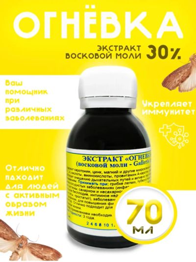 Лот: 12579225. Фото: 1. Огнёвка пчелиная (восковая моль... Пчеловодство