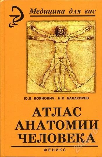 Лот: 1997632. Фото: 1. Атлас анатомии человека. Другое (медицина и здоровье)
