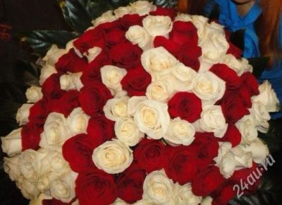 Лот: 1566527. Фото: 1. Роза!!! 50 рублей!!!. Горшечные растения и комнатные цветы