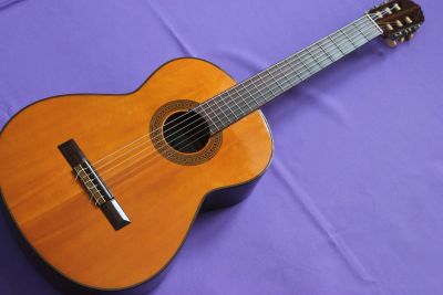 Лот: 4970191. Фото: 1. Shinano Guitar N 25 Made In Japan... Гитары