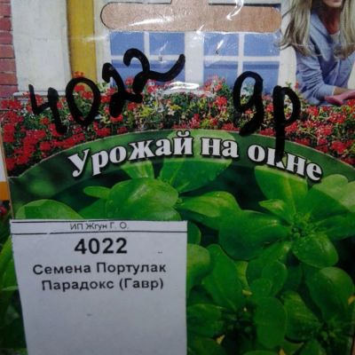 Лот: 9125011. Фото: 1. Семена / Портулак / Парадокс... Овощи