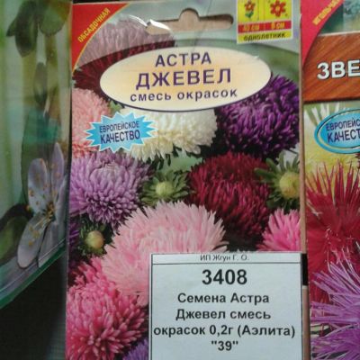 Лот: 9109726. Фото: 1. Семена / цветы / Астра Джевел... Садовые цветы