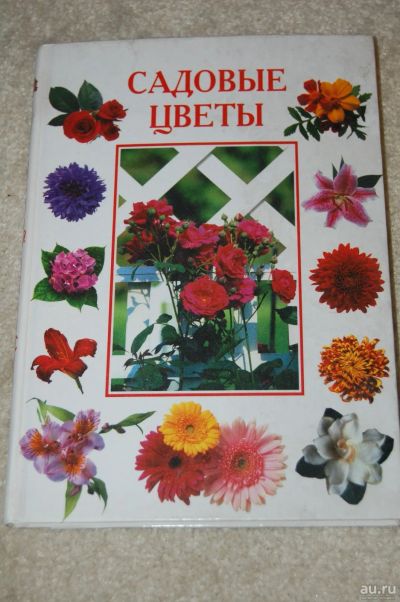 Лот: 17548203. Фото: 1. книга о цветах. Горшечные растения и комнатные цветы