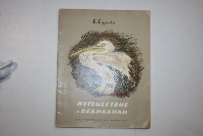 Лот: 24614960. Фото: 1. Путешествие к пеликанам. Сурова... Художественная для детей