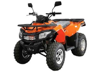 Лот: 25529466. Фото: 1. Квадроцикл MOTOLAND ATV 200 MAX. Другое (мототехника)