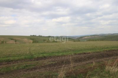 Лот: 25292655. Фото: 1. участок , село Есаулово село Есаулово... Земельные участки