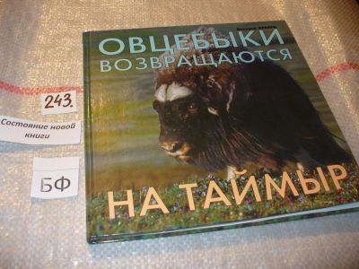 Лот: 7195459. Фото: 1. Овцебыки возвращаются на Таймыр... Науки о Земле