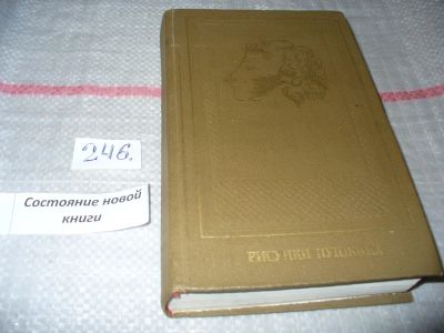 Лот: 7234561. Фото: 1. ок...Рисунки Пушкина, Т.Цявловская... Мемуары, биографии