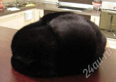 Лот: 200732. Фото: 1. Шапка Мужская Формовка С Козырьком... Головные уборы