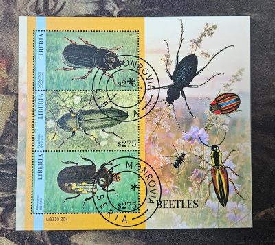 Лот: 25735916. Фото: 1. Марки: Либерия. 2023. Жуки. Насекомые... Марки