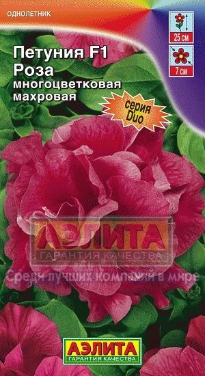 Лот: 4032878. Фото: 1. Петуния Роза (рассада). Другое (семена, рассада, садовые растения)