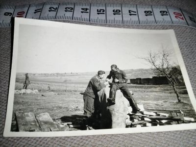 Лот: 18631976. Фото: 1. фото немецко-фашитских военных... Фотографии