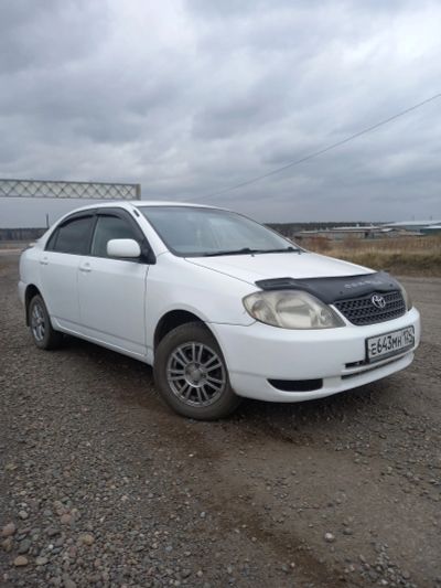 Лот: 19613459. Фото: 1. Toyota korolla. Автомобили