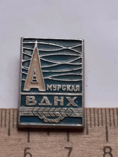 Лот: 19305040. Фото: 1. (№12302) значки, ВДНХ СССР, Амурская. Памятные медали
