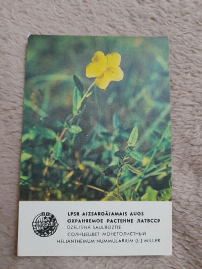 Лот: 24912728. Фото: 1. Календарик 5. Календари