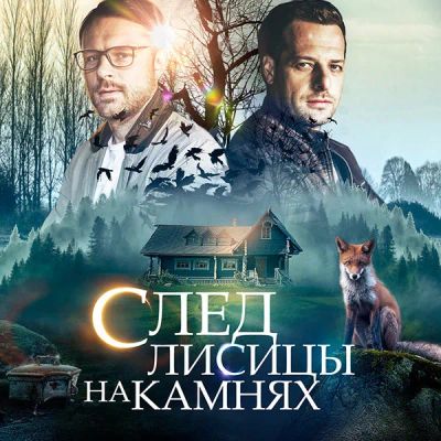 Лот: 24290268. Фото: 1. След лисицы на камнях. Видеозаписи, фильмы