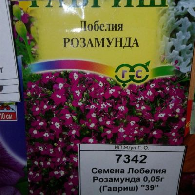 Лот: 9118034. Фото: 1. Семена / цветы / Лобелия / Розамунда... Садовые цветы