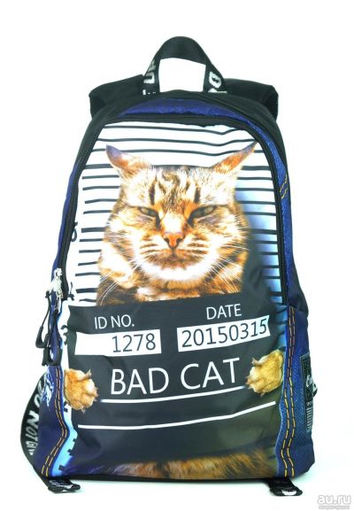 Лот: 13398856. Фото: 1. Молодежный школьный рюкзак (CAT... Рюкзаки, портфели