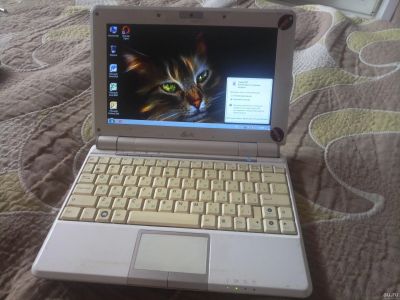 Лот: 18195464. Фото: 1. Нетбук ASUS Eee PC 1000. Ноутбуки