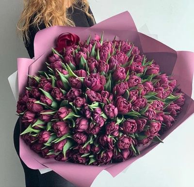 Лот: 15585070. Фото: 1. Тюльпаны Пиони-бордо / из Голландии... Свежие цветы