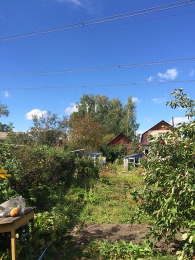 Лот: 6028743. Фото: 1. Дача 25 м.кв на участке 5 сот... Дачи