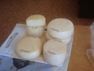 Лот: 6814244. Фото: 1. Сыр домашний. Молоко и молочные продукты