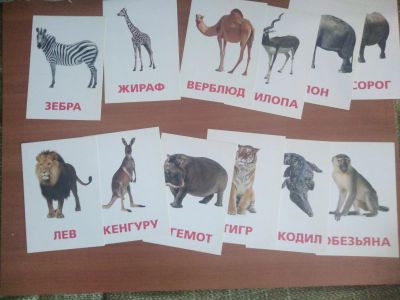 Лот: 18881901. Фото: 1. Обучающие карточки "Животные". Развивающие