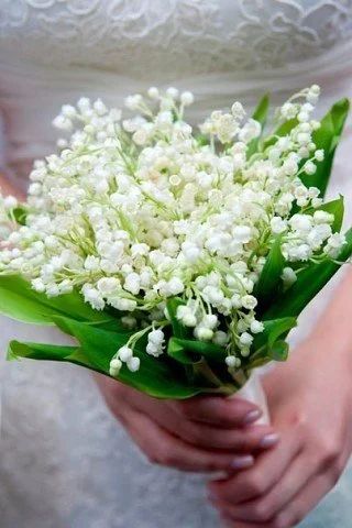 Лот: 11621151. Фото: 1. Букет ландышей. Свежие цветы
