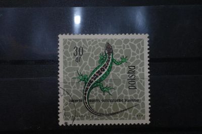 Лот: 3961142. Фото: 1. марка 4 Польша фауна. Марки