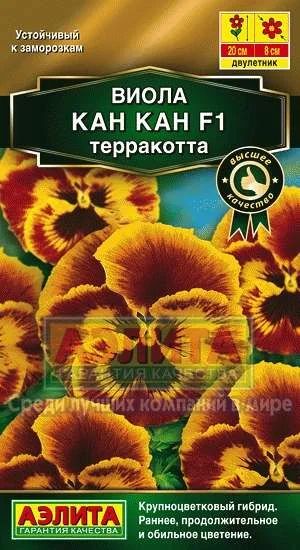 Лот: 11025073. Фото: 1. Виола Виттрока КанКан F1 терракота... Садовые цветы