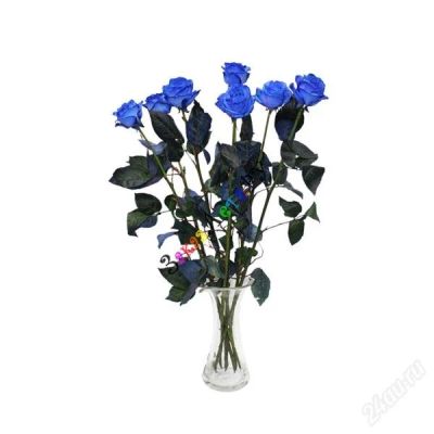 Лот: 1035570. Фото: 1. Синяя(голубая) роза Vendella Blue. Другое (сувениры, подарки)