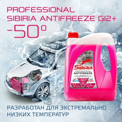 Лот: 21983460. Фото: 1. Антифриз Sibiria Antifreeze G12... Масла, жидкости