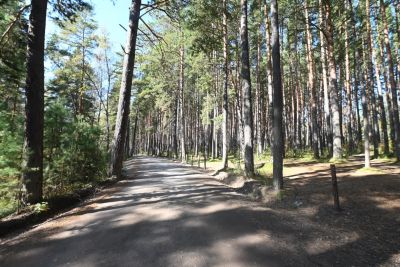 Лот: 25778252. Фото: 1. участок , Красноярск Лесная улица... Земельные участки