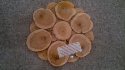 Лот: 3409652. Фото: 1. Подставка для горячего, из можжевельника. Другое (домашний быт)