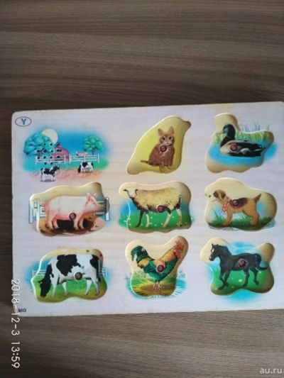 Лот: 12736615. Фото: 1. Деревянные пазлы, вкладыши. Развивающие