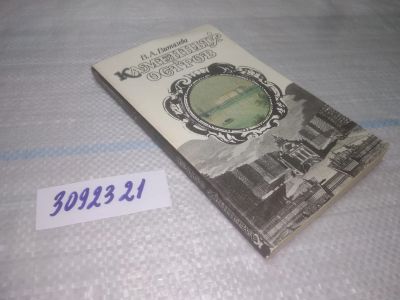 Лот: 25437693. Фото: 1. (3092321)Витязева В.А. Каменный... История
