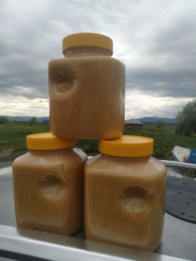 Лот: 16174611. Фото: 1. Мед Алтая урожай 2019г. Мёд, продукты пчеловодства