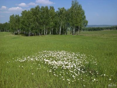 Лот: 13544787. Фото: 1. участки. Земельные участки