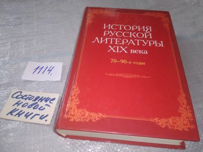 Лот: 18997487. Фото: 1. История русской литературы XIX... Другое (общественные и гуманитарные науки)