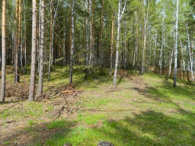 Лот: 13787923. Фото: 1. Продается участок 16 сот. , цена... Земельные участки