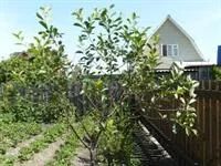 Лот: 2689625. Фото: 1. Земельный участок за Солнечным. Дачи